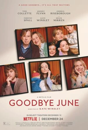 Goodbye June 2025 Hindi Dual Audio WEB-DL 1080p Movie Poster